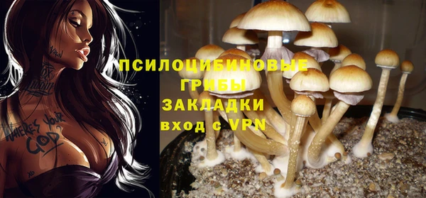 круглые Армянск